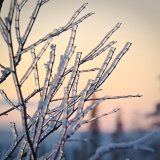 Jeris week 45 12-5584